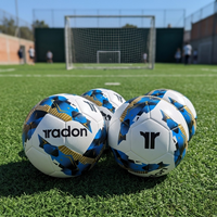 Pack 4 balones profesionales Dream Sky PRO